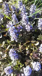 Garten17 023.webp