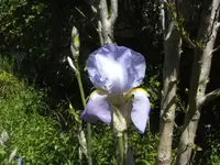 BILD6469.webp