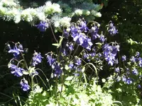 BILD6470.webp