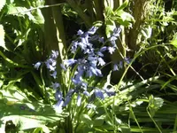 BILD6474.webp