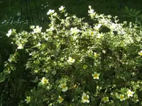 BILD6484.webp