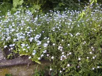 BILD6486.webp