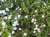 BILD6487.webp