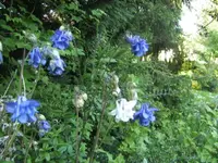 BILD6491.webp