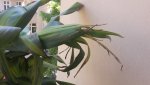 20170518_115937.jpg