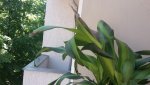 20170518_120017.jpg