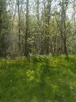 P5170386.webp P5170386.webp