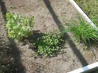 P5170387.webp P5170387.webp