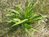 P5170388.webp P5170388.webp