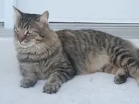 P5170389.webp P5170389.webp