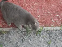 P5170391.webp P5170391.webp