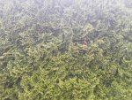20170518_164013.jpg