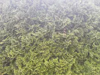 20170518_164013.webp