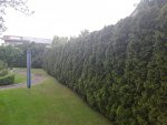 20170518_164017.jpg