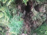 20170518_164045.jpg