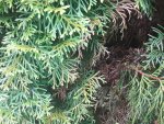 20170518_164051.jpg