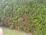 20170518_164103.jpg