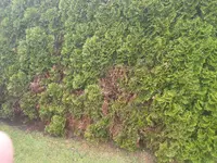 20170518_164103.webp