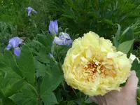 P1010888.webp