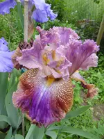 P1020175.webp
