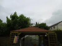 P1000840.webp