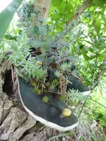 P1020260.webp