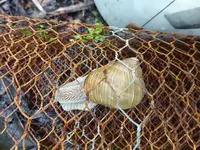 P1020315.webp