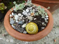 P1020332.webp