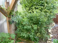 P1020226.webp