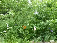 P1020266.webp