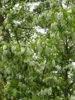P1020300.webp