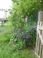 P1020310.webp