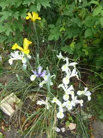 P1020190.webp