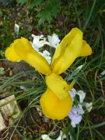 P1020192.webp