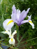 P1020216.webp