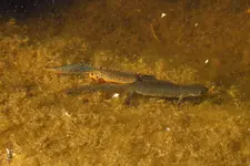 DSCN4250aa.webp