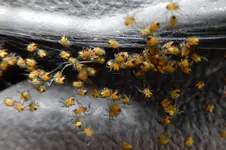 DSCN4353.webp