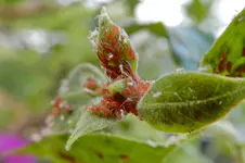 DSCN4373.JPG