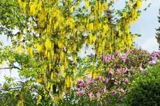 DSCF6094 (2).webp