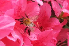 DSCF8778 (2).webp