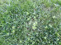 20170517_184010_resized.webp