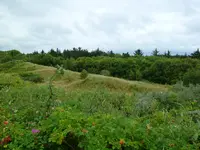 P1040020.webp