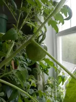 P5180392.webp P5180392.webp