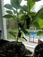 P5180393.webp P5180393.webp