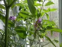 P5180399.webp P5180399.webp