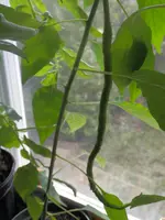 P5180400.webp P5180400.webp