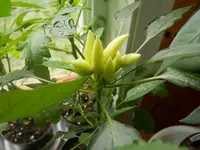 P5180403.webp P5180403.webp