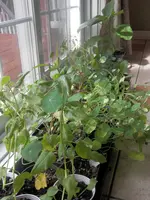 P5180409.webp P5180409.webp