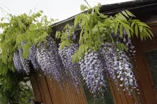 _DSC1627.webp