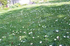 100_3895.JPG